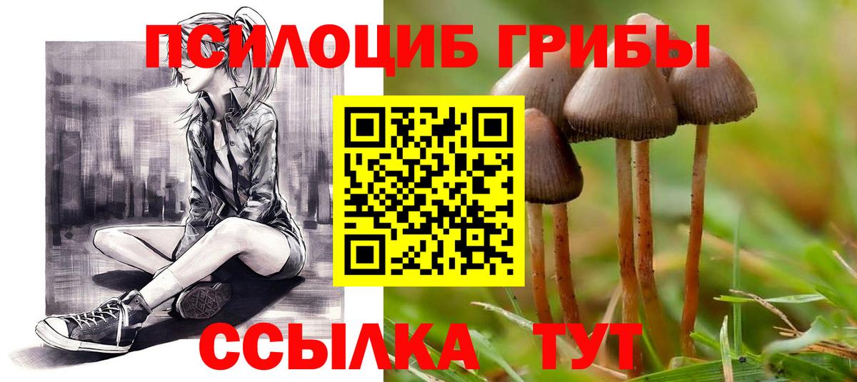 Псилоцибиновые грибы Magic Shrooms  Псилоцибиновые грибы мицелий  Камышин  Вход с VPN 